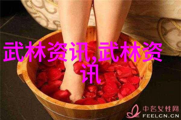 世界拳技之巅铁血掌门的绝学