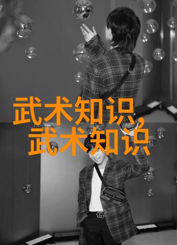 武林秘籍揭秘中国功夫的深奥之道