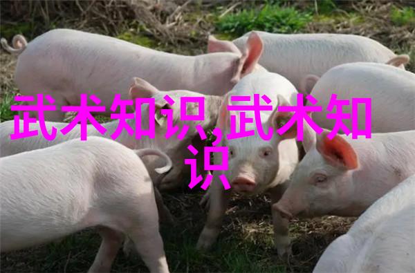 中国拳法大集合揭秘那些让你笑到肚子疼的古老招式