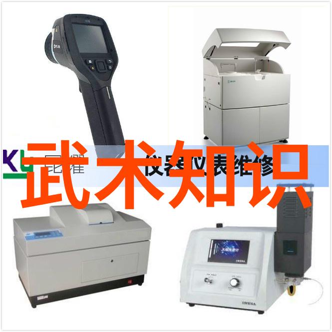 邱慧芳24式简化太极拳背面演示-探索邱慧芳教导的简化太极拳背面动作秘诀