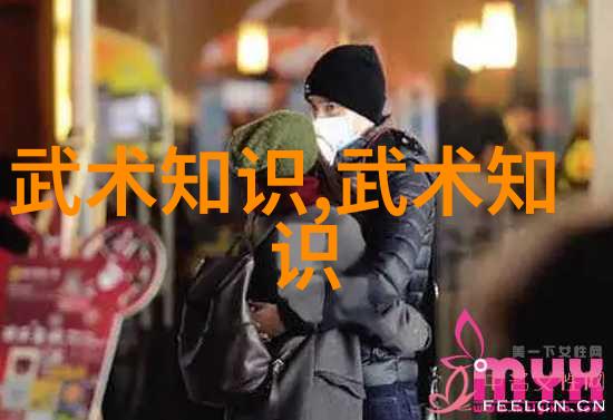 从书本到实战中国武功的奇妙旅程