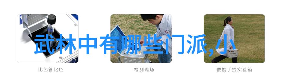 探索太极拳的精髓24式每一式详解视频指南