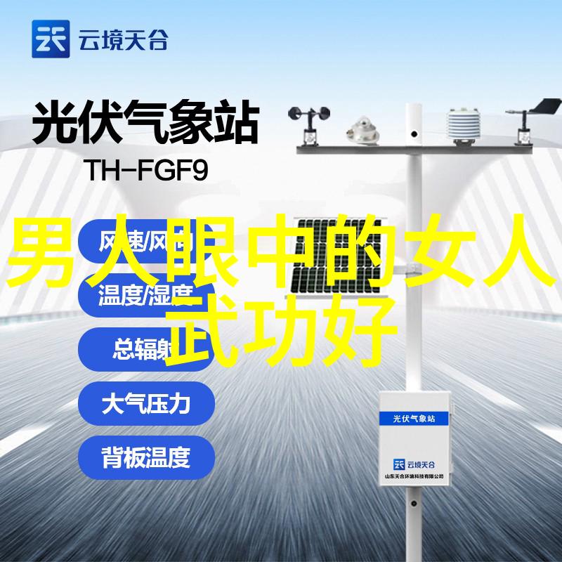 武林八大门派掌门人剑拳射符的统领者