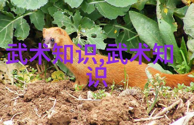 诗意帮派门派拳种带着古韵的力量静默而不语