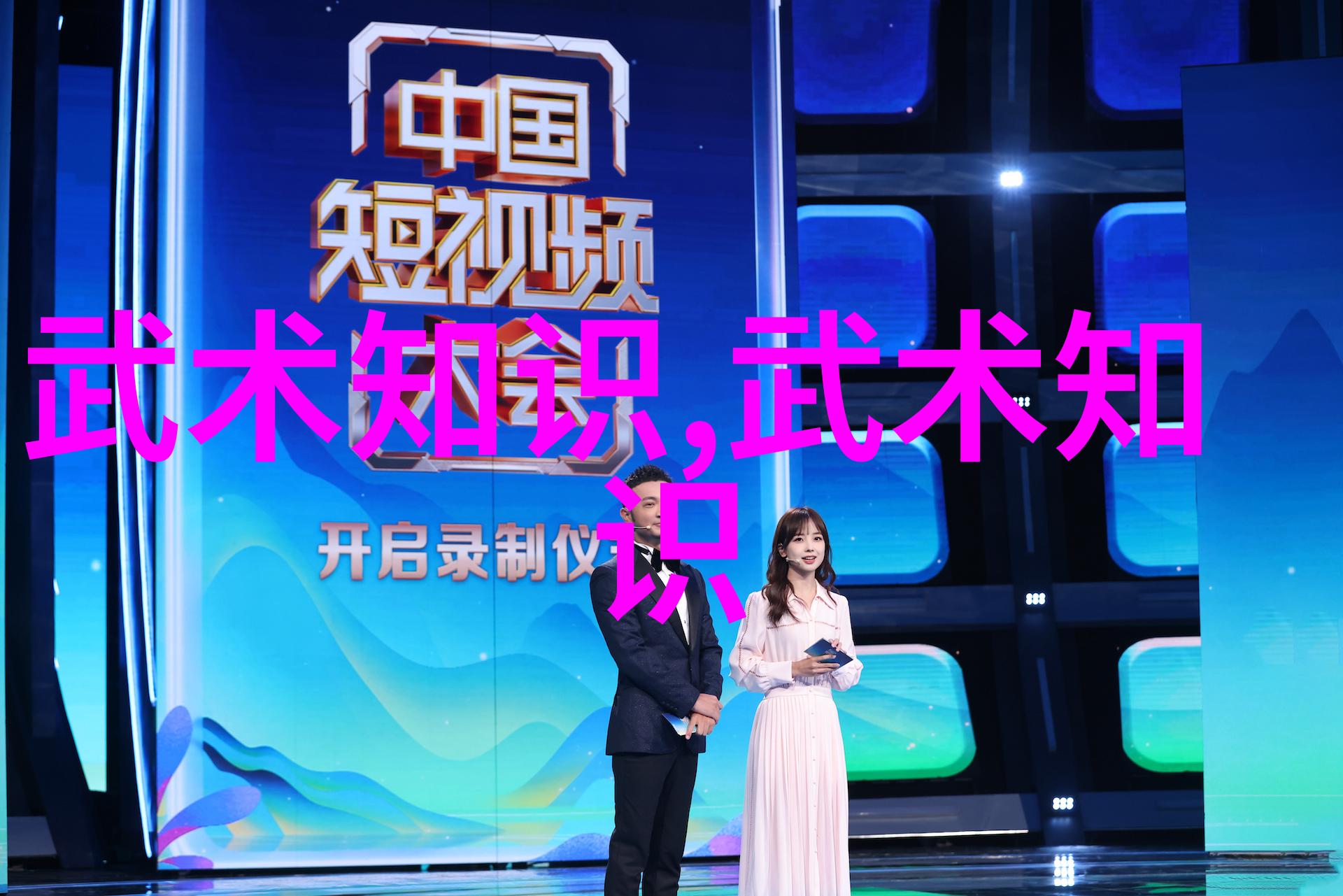 太极拳之我见蔡文晓高淼曲刚的24式幽默大师