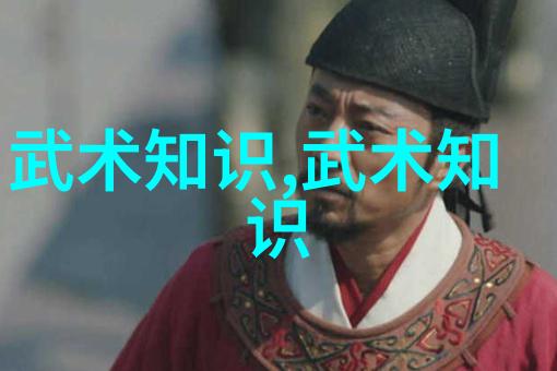 中国传统武术拳法我要教你一门能让你神勇四射的古老秘笈