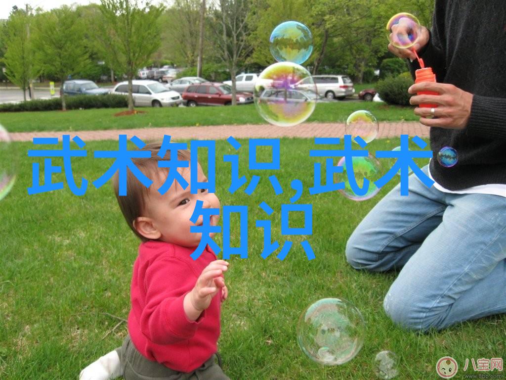 古韵身法揭秘二十四式太极拳的精髓