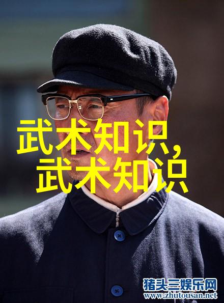 中国武术十大拳法排名反复探究过气捶的韵味与魅力