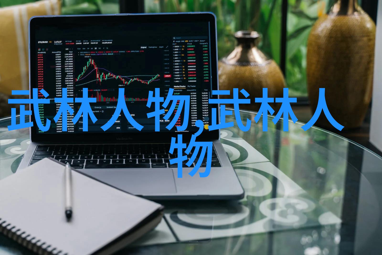 少林武功秘籍大全抖劲如人间正气激荡古今江湖