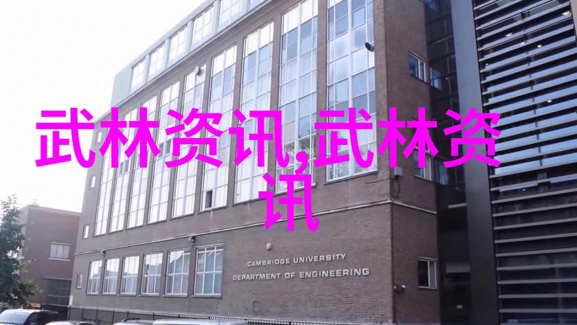 风云人物-女生帮派的秘密之名揭秘那些独特而有力的名字