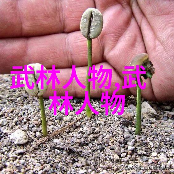 武林秘籍古代武者的智慧与力量