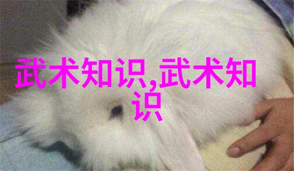 用数据分析来提升你的击剑技巧