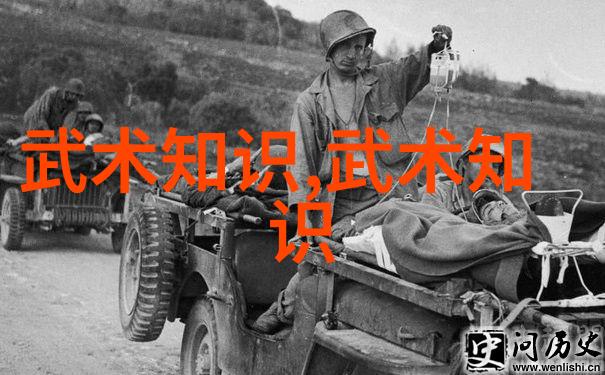 中国武术十大拳法之巅犹如星辰璀璨大名府内家拳这门派拳种乃是武林中的一颗璀璨明珠