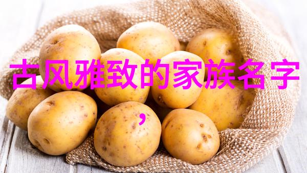 精神修为与肉身强化揭开中国传统拳法背后的哲学奥义