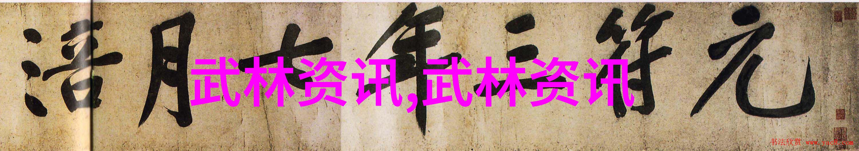 武术教程如何开始你的武术旅程