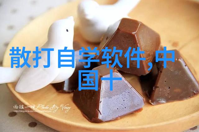 在泳池尺寸的波涛中探索中国运动游泳的持久魅力