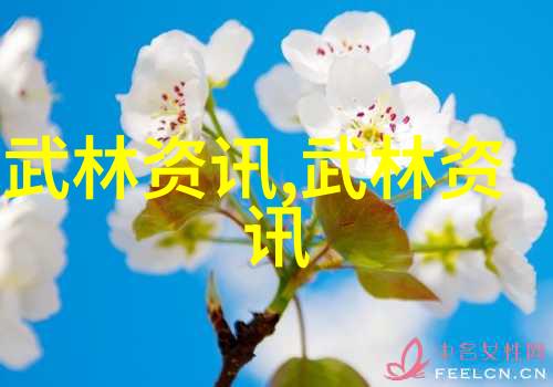 医疗器械厂家招商揭秘哑铃侧平举与飞鸟举的区别