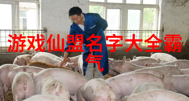 武林秘诀李小龙的内家外功之旅