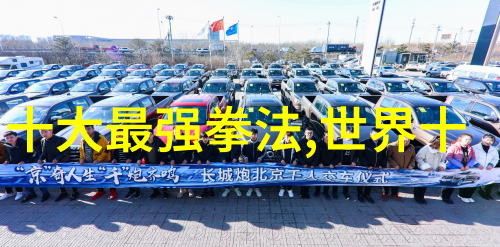 内功深厚的华山派中国武林中的领军之地