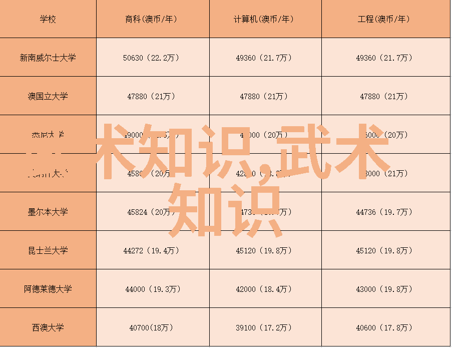 德国拳师探索太极武功与武术的对决在成都