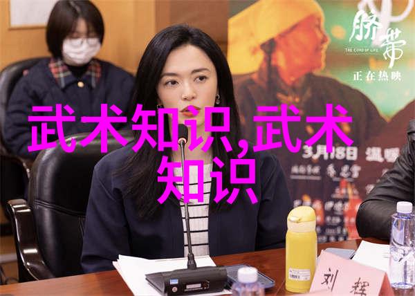 王文贤讲解太极拳套路入门拳法的反复核心要素