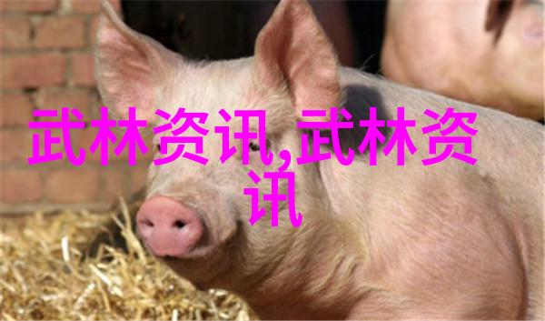 少林最隐秘的拳法吴国富的太极之谜