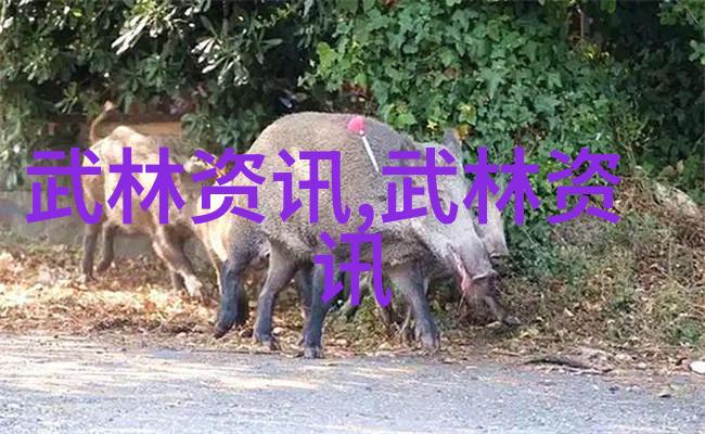 横练功夫排名武林高手的力量对决