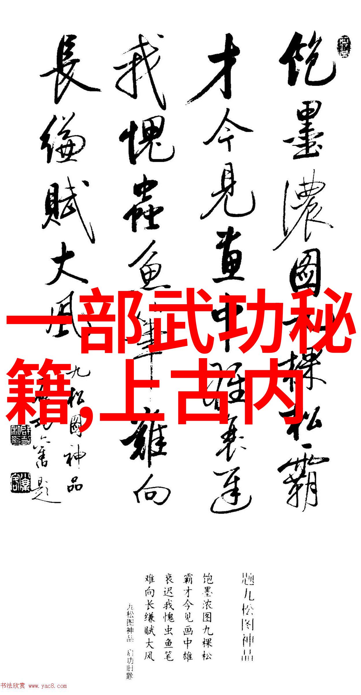 动手实践如何通过视频带口令提高四十式太极拳技能