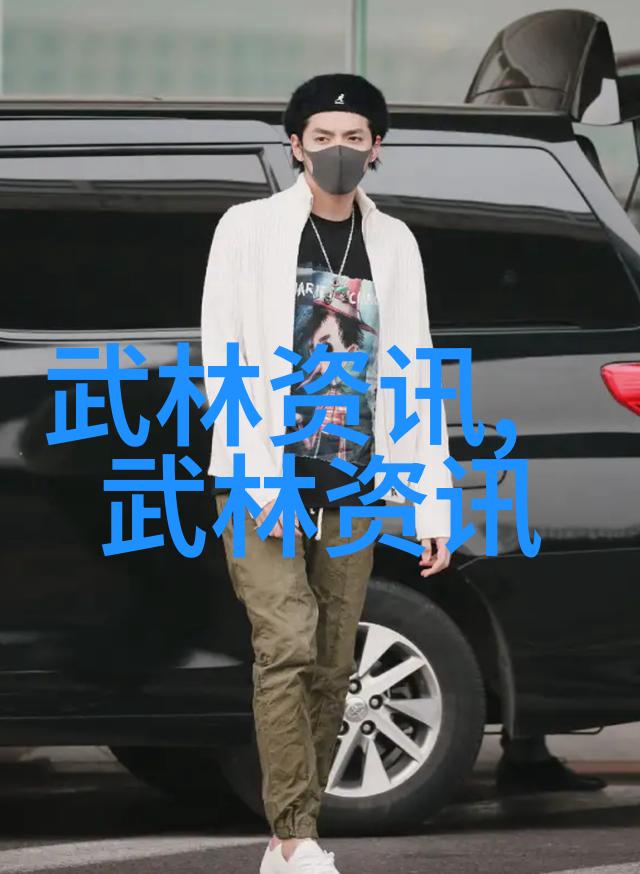中国武术门派的丰富多彩探索传统与创新