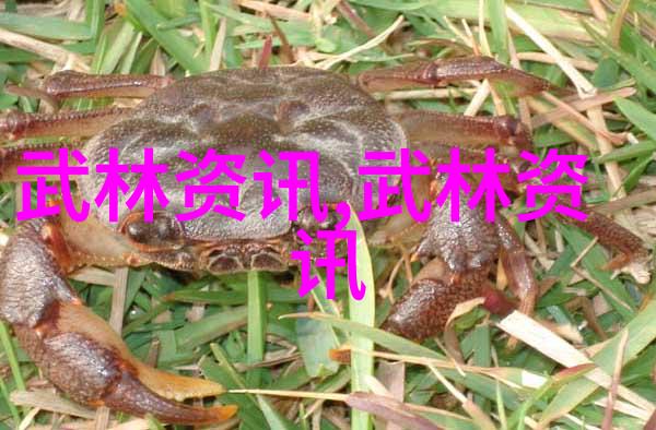 中国武功秘籍的大全书吴国富的太极拳之谜