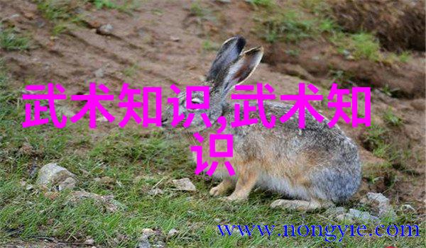 古意盎然的品味殿堂