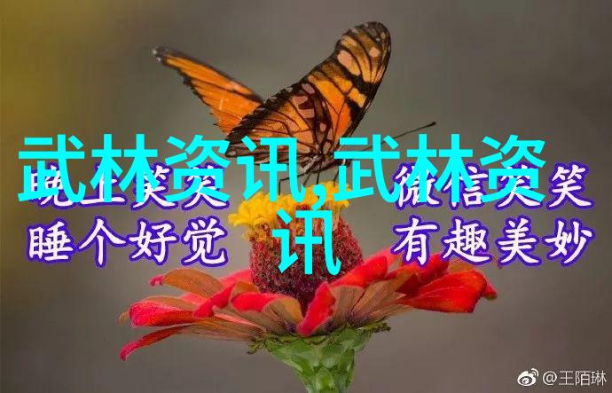 霸道龙腾帮派征服风云的豪情篇