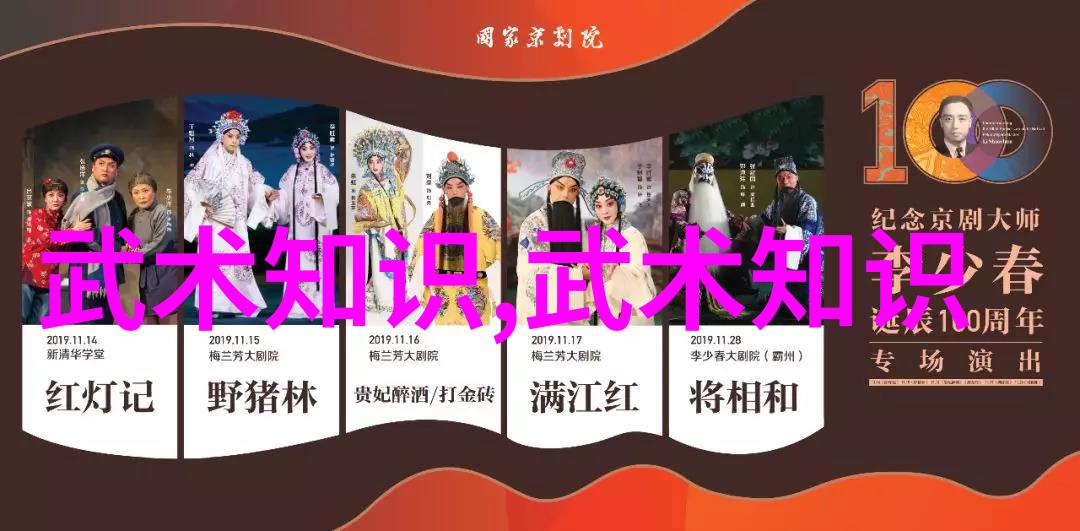 中国武术之魂流派的叙述