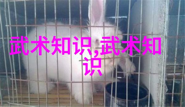 男生与女生的坤坤交汇之旅