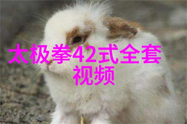 好听帮派古风名字仙气一点我为何爱上那些古风帮派的名字