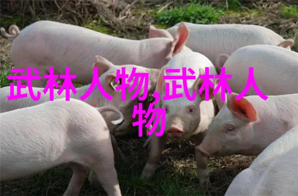 金庸笔下绝世神功排名太极拳推腿练功简述