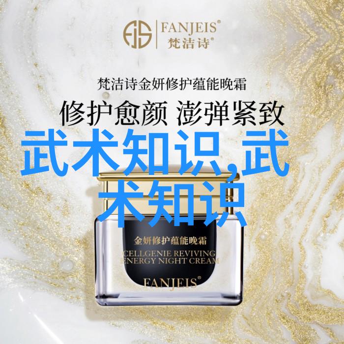 中国武术秘籍书探索内家外派之谜