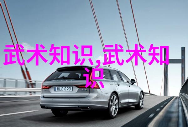 武术文化24式太极拳口令全套解析