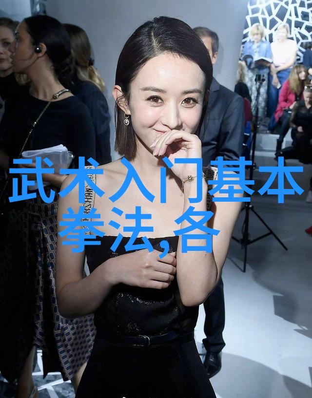 中国30个武术门派大全探索中华武学的精髓与丰富多彩