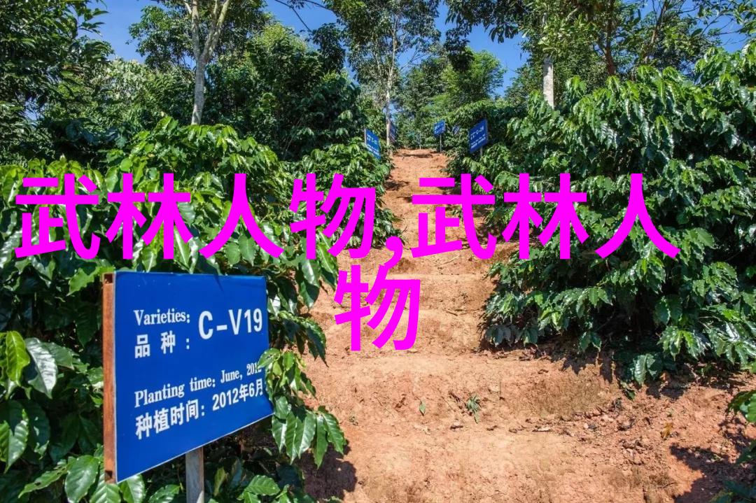 武林秘籍揭秘中国那些不为人知的武术门派