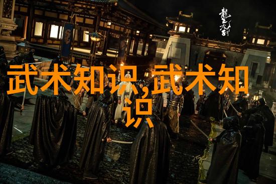 拳法十六招式图解我来教你这招一招你就懂了