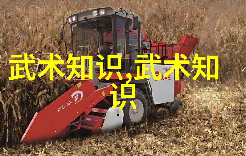 门派之旅揭秘中国武学文化的每一个角落