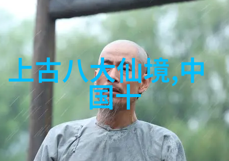 陈耀庭谈太极拳与站桩探讨中国武术中的多样拳法在社会中的价值