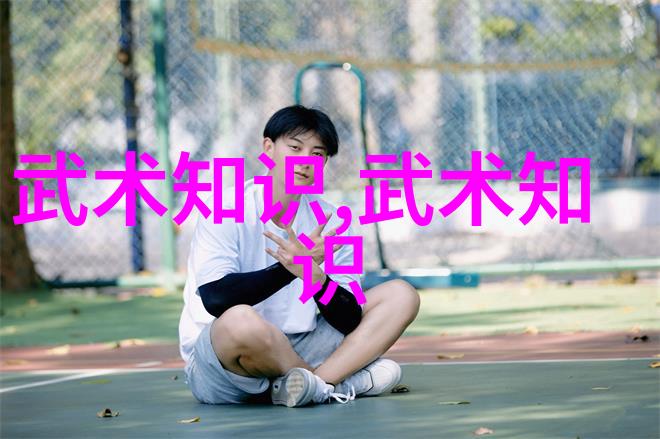 长拳散手与架手之间在中国武学中的区别是什么