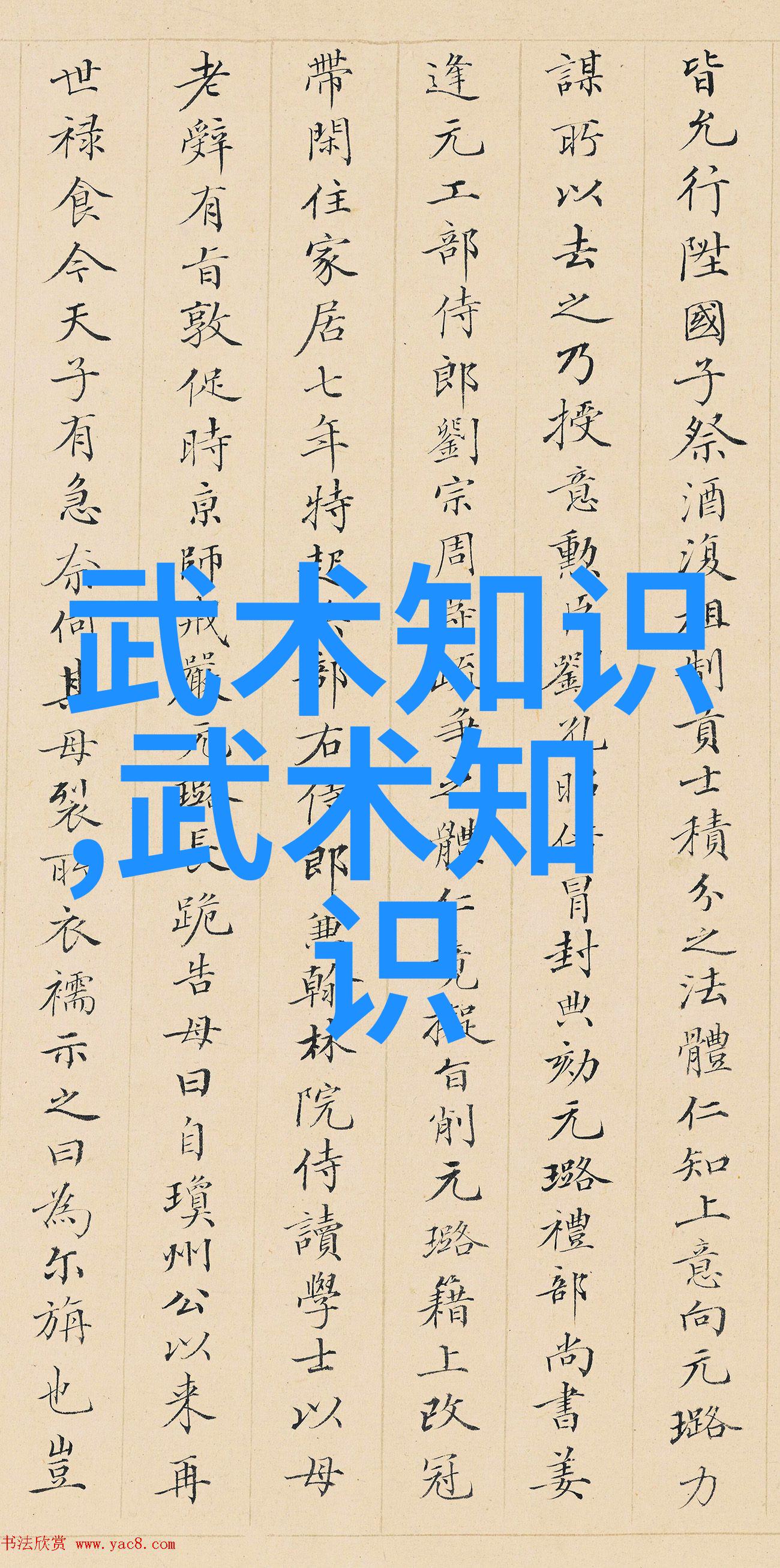 48式太极拳全套视频带口令我来教你一招十架掌握48式太极拳的秘诀