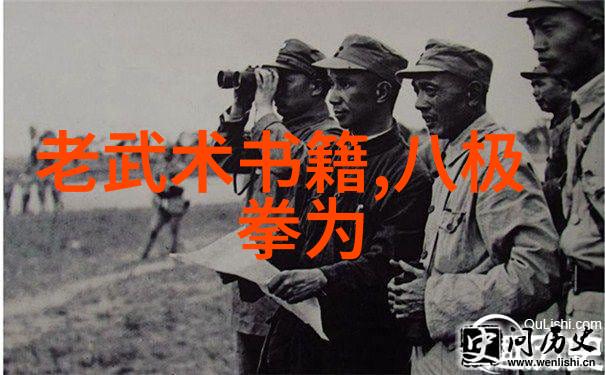 全国武术门派有哪些-探秘中华武林全国各大武术门派的传统与风范