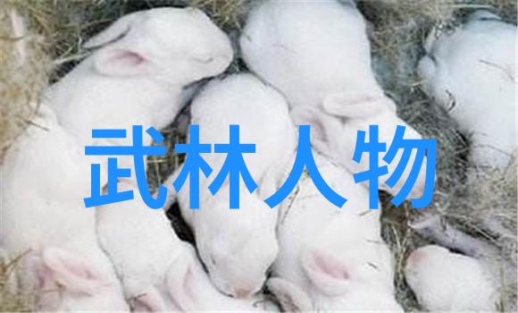少林三渡的实力我亲眼见证了武林中最强者的一番风采