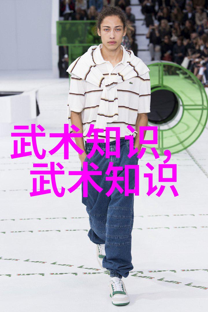 武当山的十五代传人江湖中最耀眼的星辰