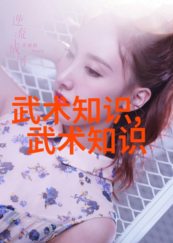 武术基本功网站精进技艺强身健体的指南