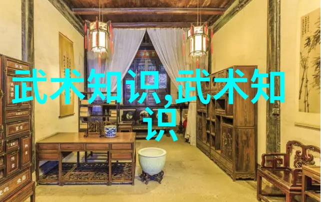 拳影全球揭秘最凶猛的武术